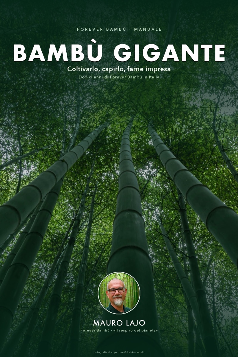 Il libro Bambù Gigante di Mauro Lajo